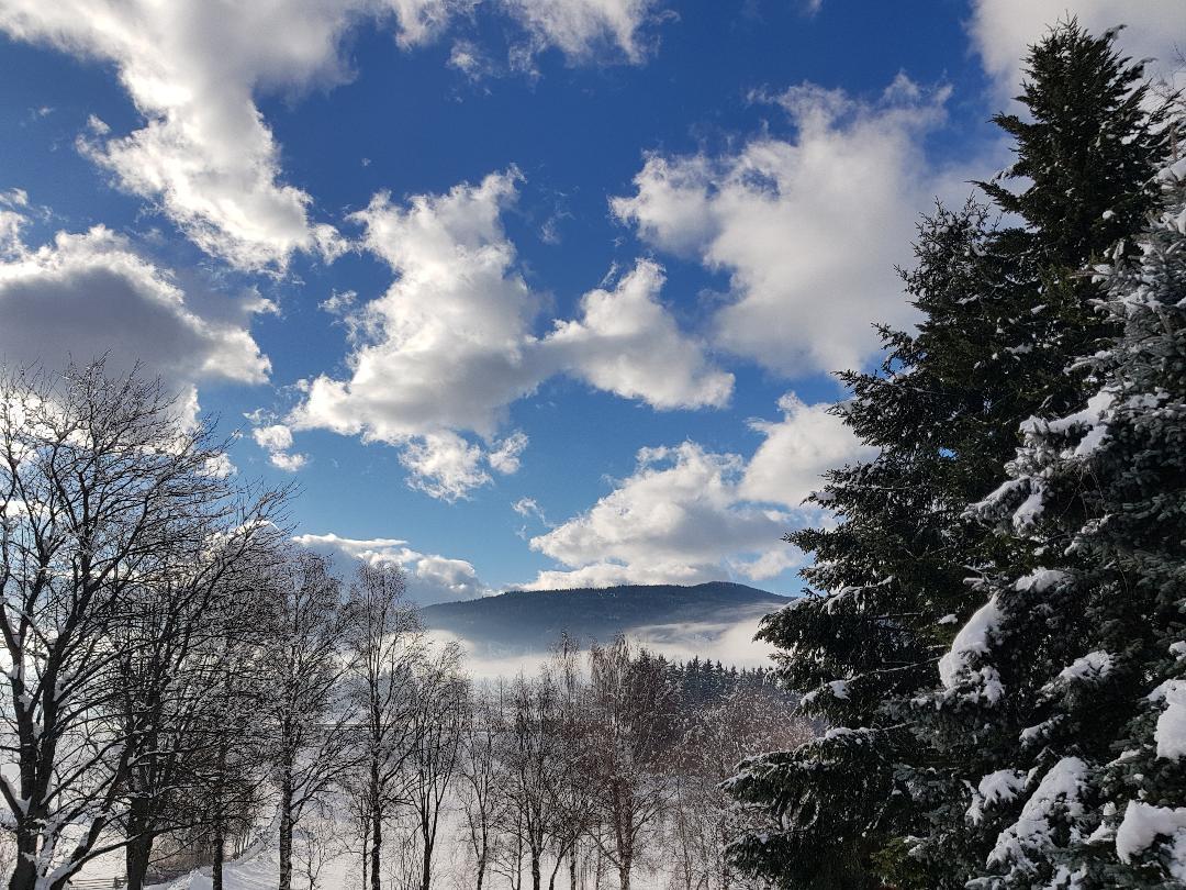 Appartementhaus Novak マリアプファル エクステリア 写真